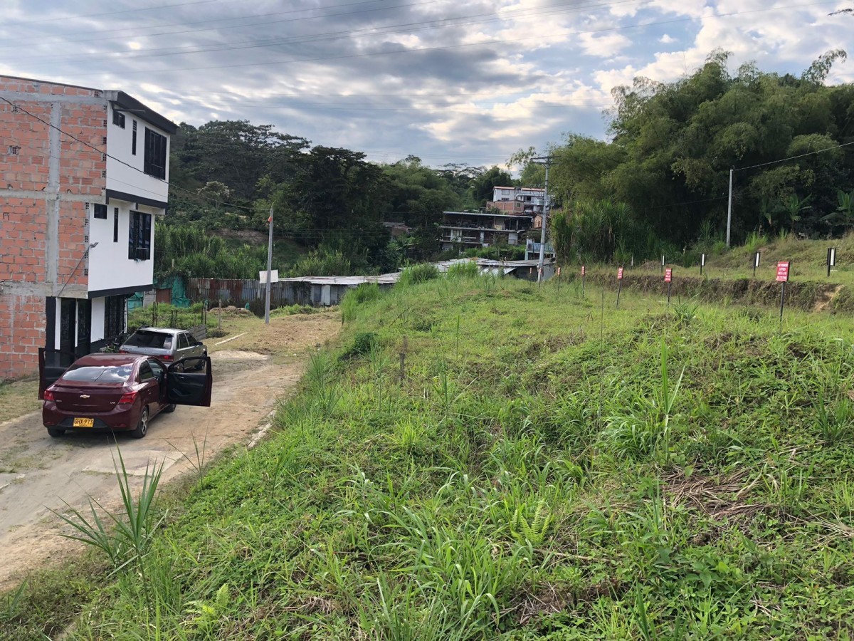 Lote en Venta - Colinas del Bosque, AMCO, Area Metropolitana Centro Occidente, Risaralda, RAP Eje Cafetero, 661002, Colombia, 40,002 m² (foto 3) — CREBI