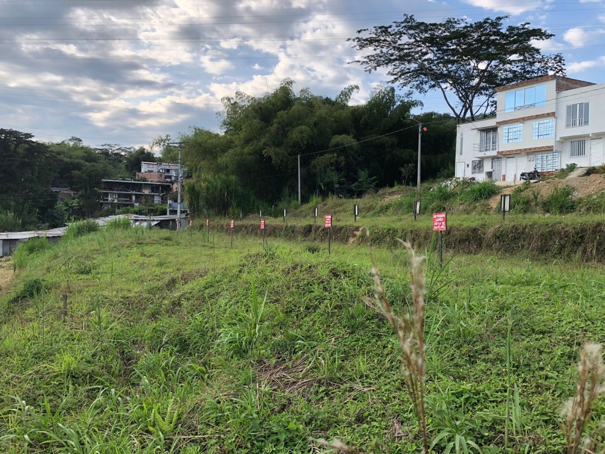 Lote en Venta - Colinas del Bosque, AMCO, Area Metropolitana Centro Occidente, Risaralda, RAP Eje Cafetero, 661002, Colombia, 40,002 m² (foto 5) — CREBI