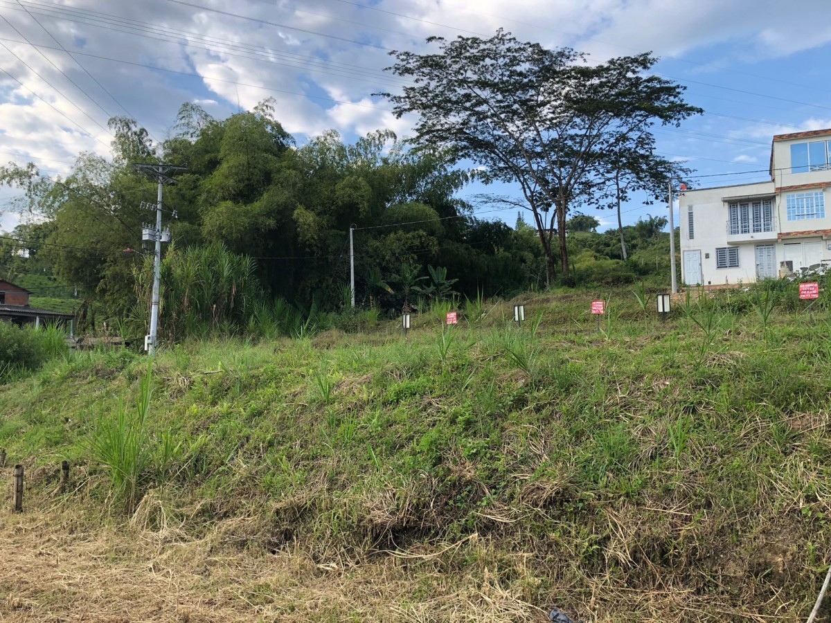 Lote en Venta - Colinas del Bosque, AMCO, Area Metropolitana Centro Occidente, Risaralda, RAP Eje Cafetero, 661002, Colombia, 40,002 m² (foto 6) — CREBI