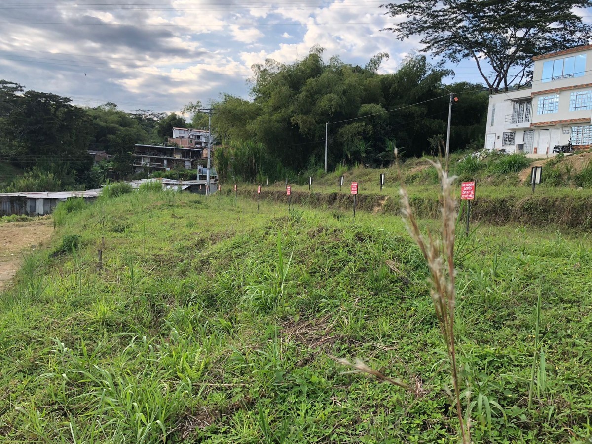 Lote en Venta - Colinas del Bosque, AMCO, Area Metropolitana Centro Occidente, Risaralda, RAP Eje Cafetero, 661002, Colombia, 40,002 m² (foto 7) — CREBI