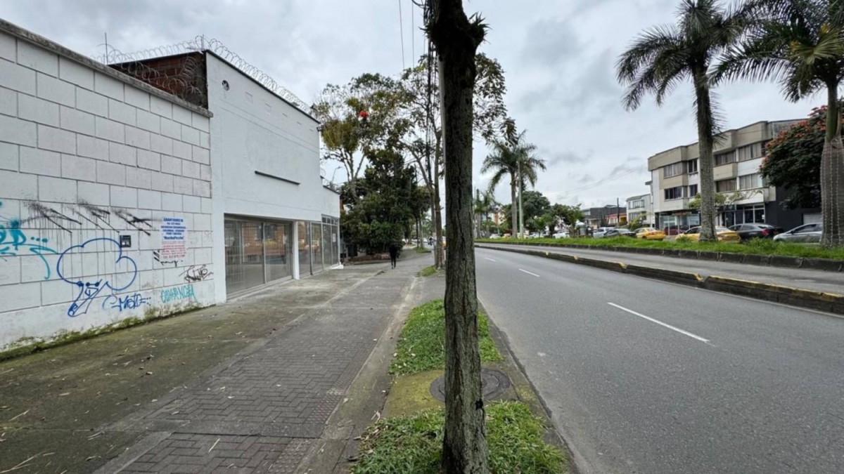 Local en Arriendo - Calle 32, Brasilia, 282,002 m² (foto 6) — CREBI