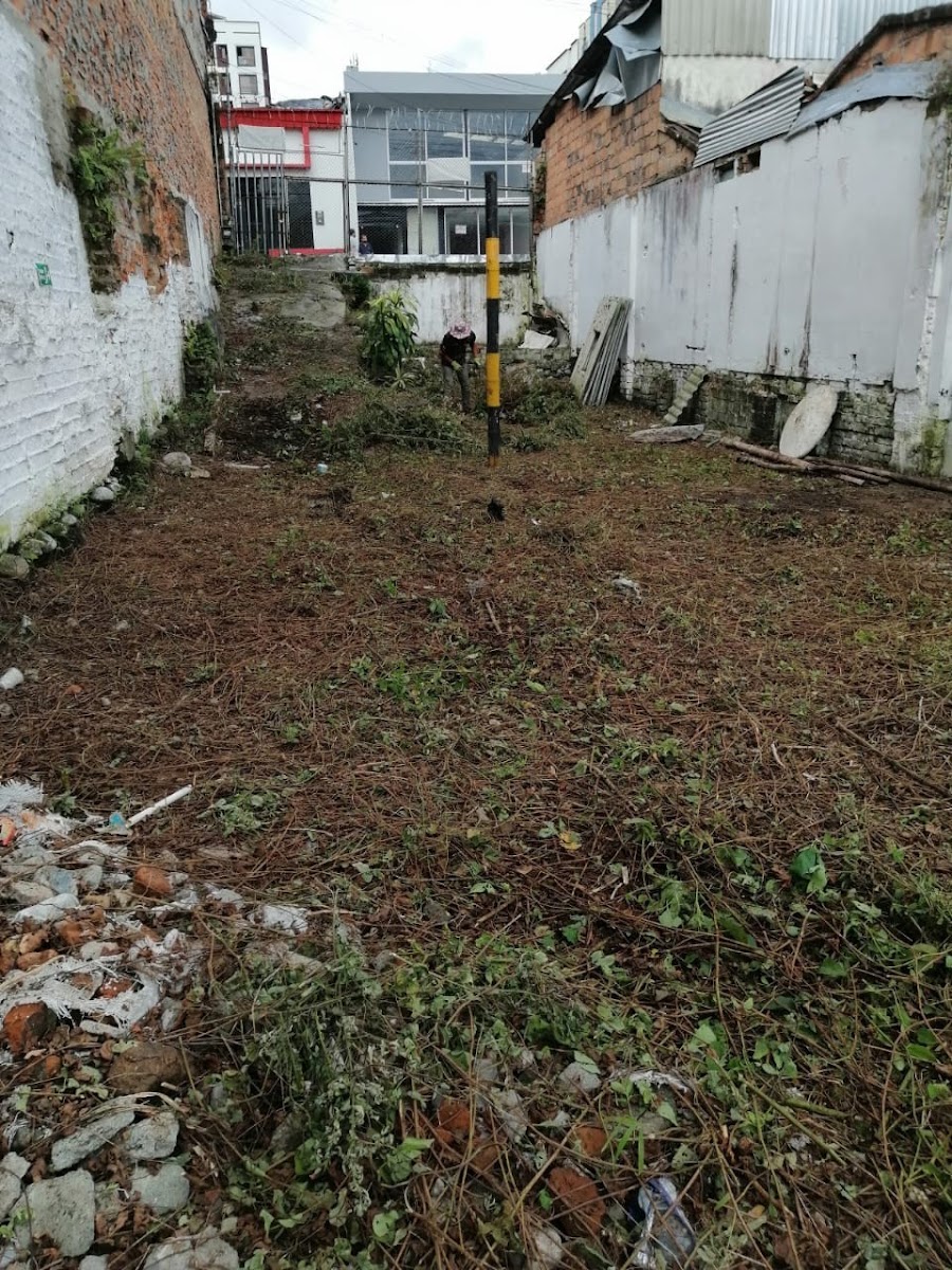 Lote en Venta - Plaza de Bolivar, Sector Plaza de Bolivar, 278,002 m² (foto 4) — CREBI