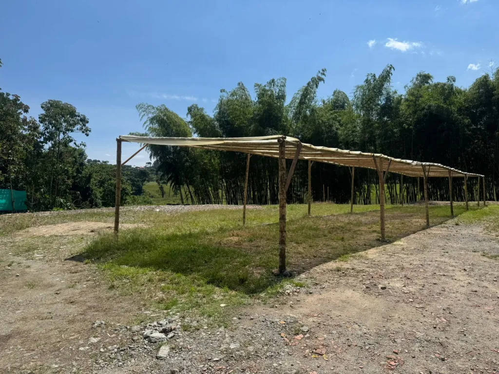 Local en Arriendo en Calle 19, Santa Rosa de Cabal, 72,0 m² — CREBI