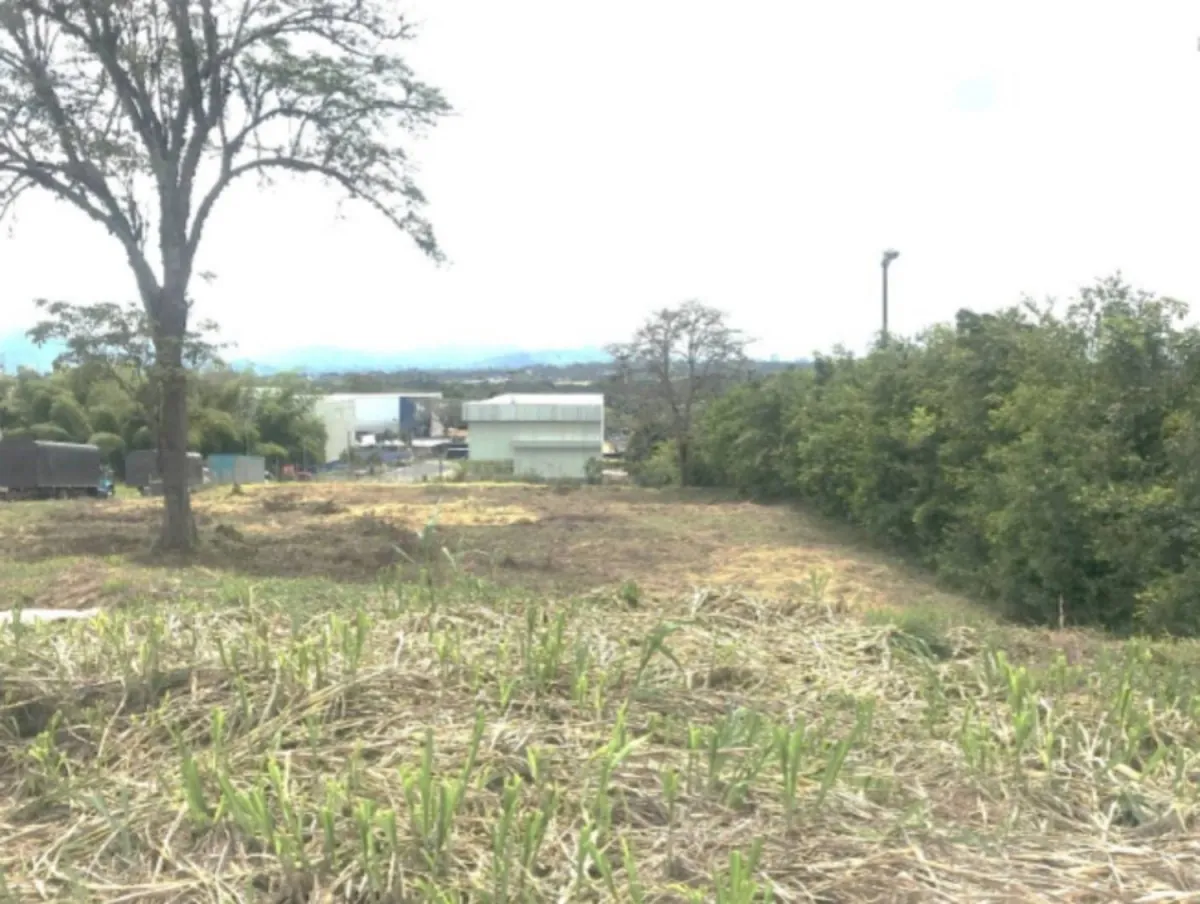 Lote en Venta en Caimalito, Pereira, 2000,0 m² (foto 2) — CREBI