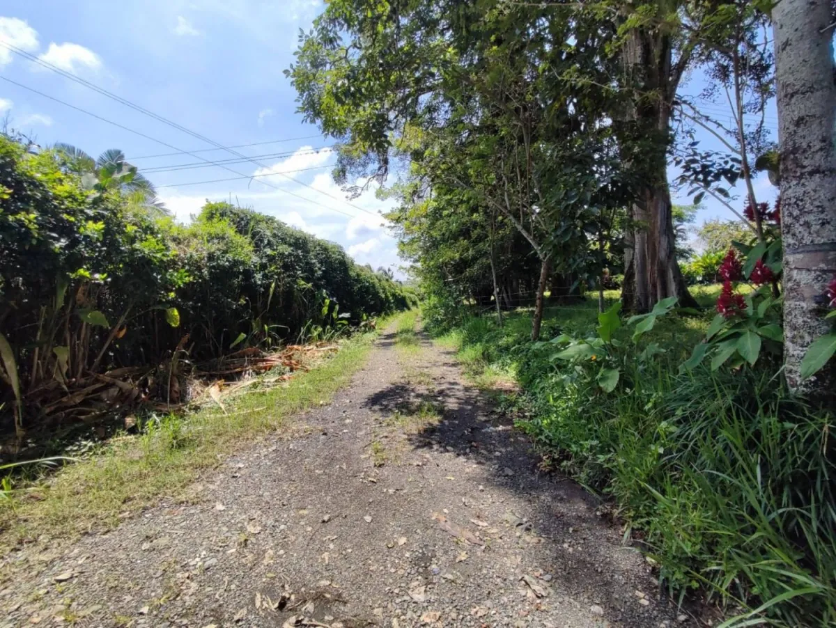 Lote en Venta en Cerritos, 47000,0 m² (foto 2) — CREBI
