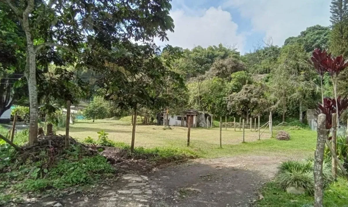 Lote en Venta en Universidad, Pereira, 1282,0 m² (foto 2) — CREBI