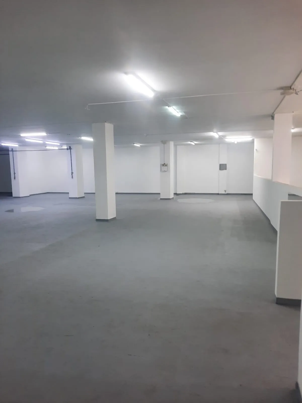 Local en Arriendo en Las Mangas, Pereira, 543,0 m² (foto 2) — CREBI