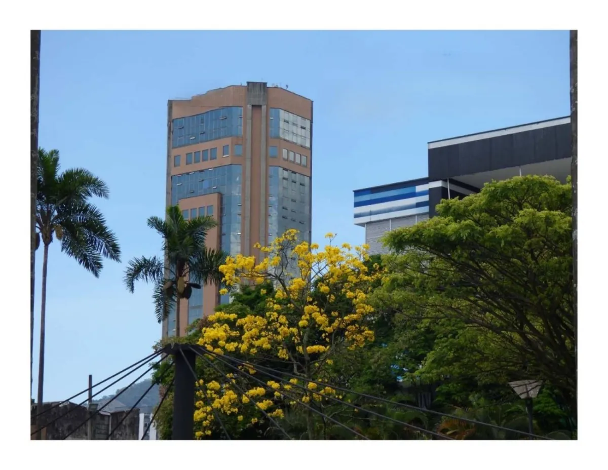 Oficina en Arriendo en Sector Plaza de Bolivar, Pereira, 25,0 m² (foto 2) — CREBI