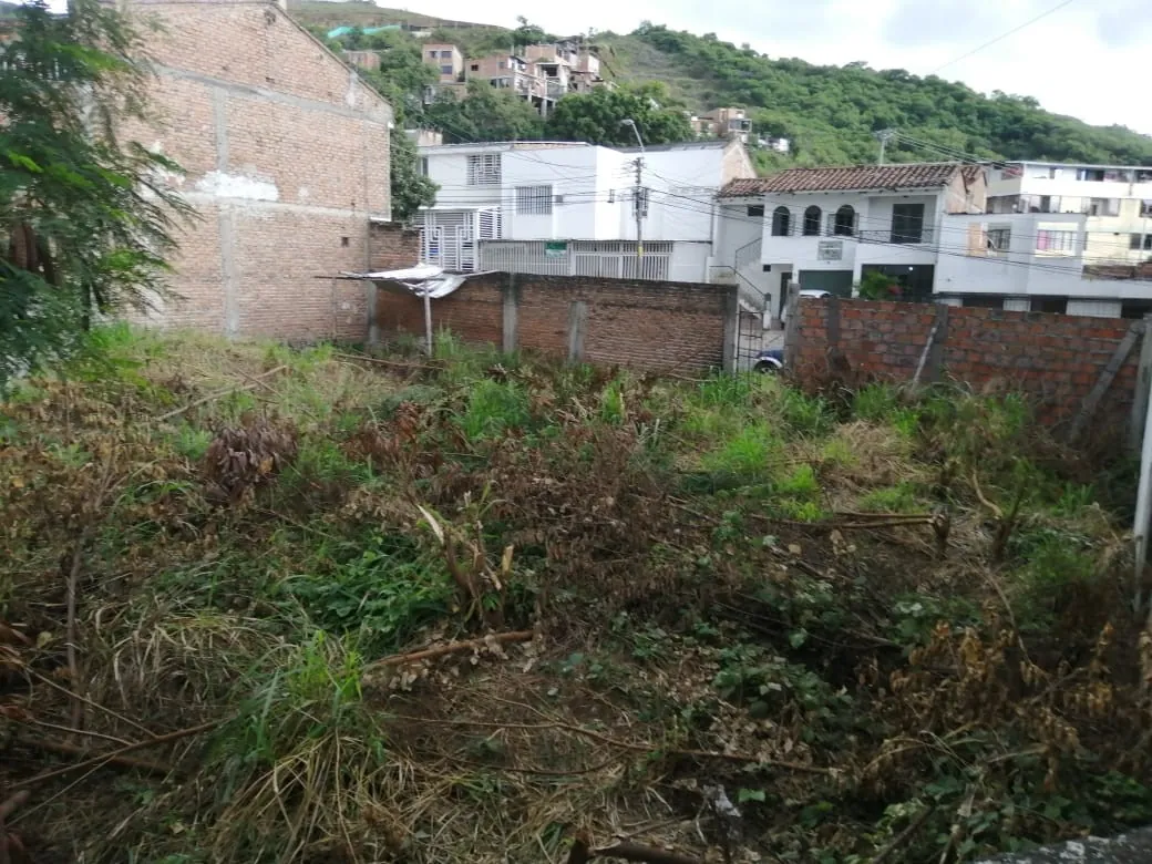 Lote en Venta en El Bosque, Cali, 309,0 m² (foto 3) — CREBI