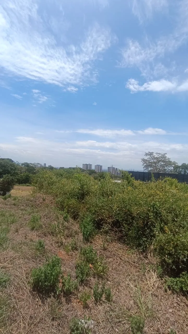 Lote en Venta en Parcelaciones Pance, La Buitrera, 1186,0 m² (foto 3) — CREBI