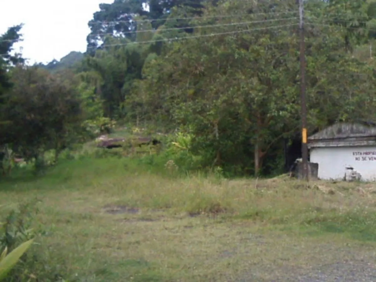 Lote en Venta en Universidad, Pereira, 1282,0 m² (foto 3) — CREBI