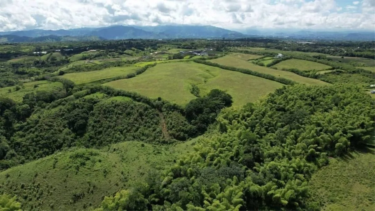 Lote en Venta en Cerritos, Pereira, 2485002,0 m² (foto 3) — CREBI