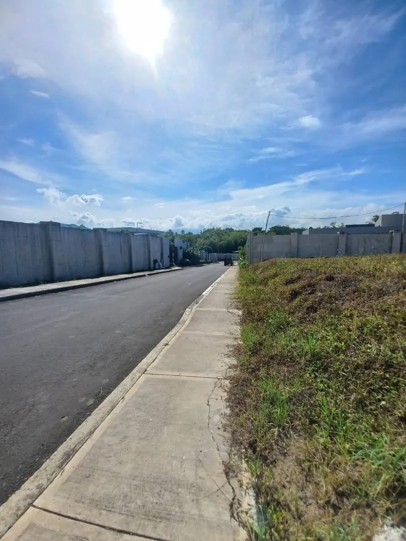 Lote en Venta en Cerritos, Pereira, 2435002,0 m² (foto 3) — CREBI