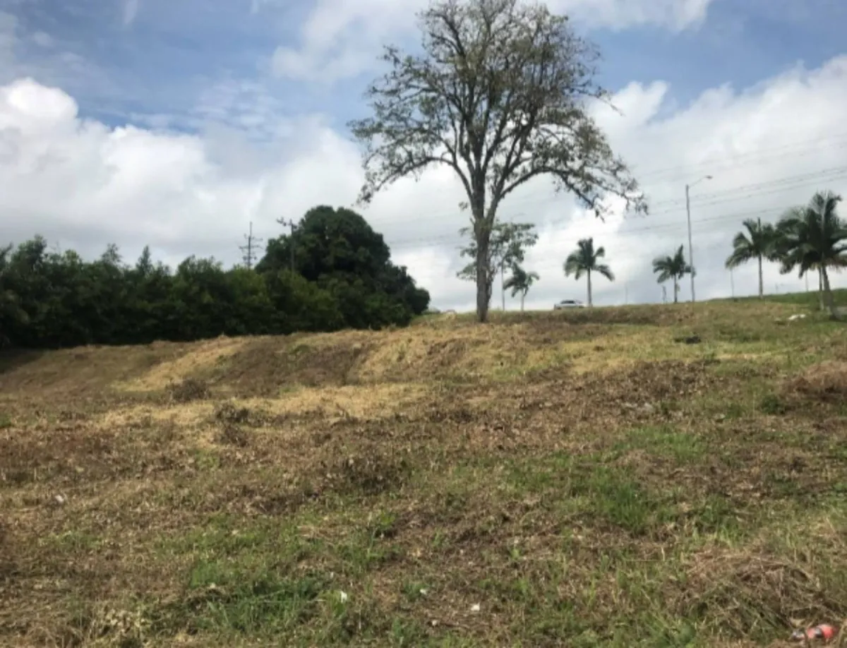Lote en Venta en Caimalito, Pereira, 2000,0 m² (foto 3) — CREBI