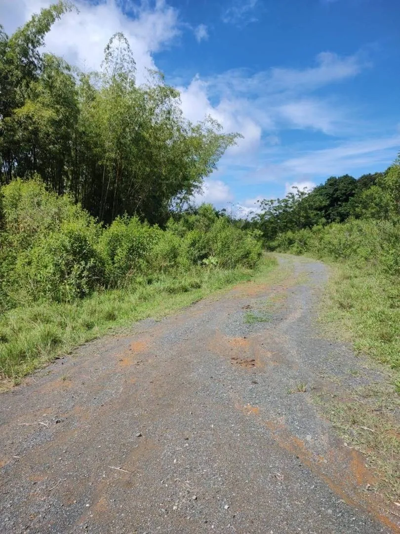 Lote en Venta en Cerritos, 47000,0 m² (foto 3) — CREBI