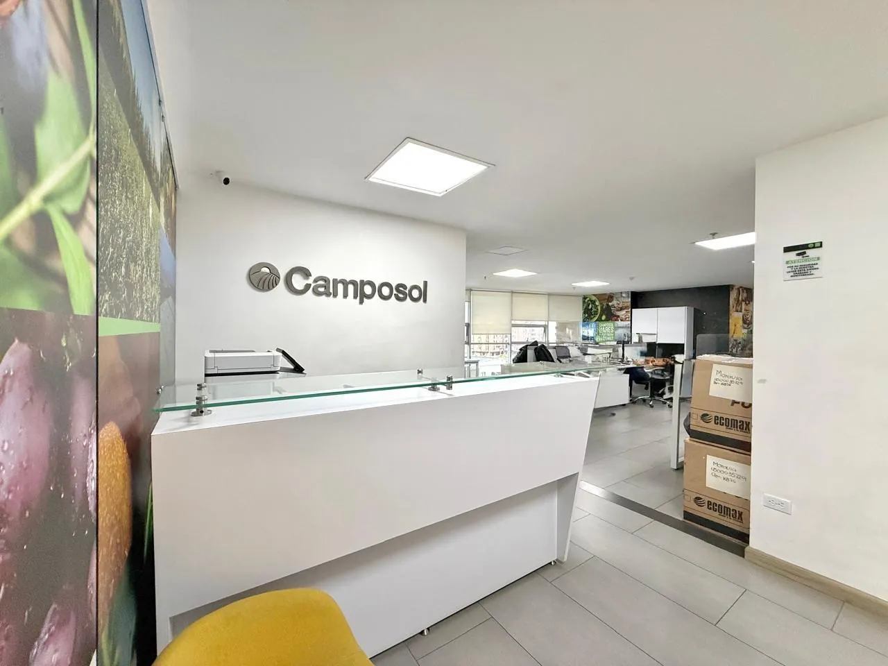 Oficina en Arriendo en Los Alpes, Pereira, 228,0 m² (foto 3) — CREBI