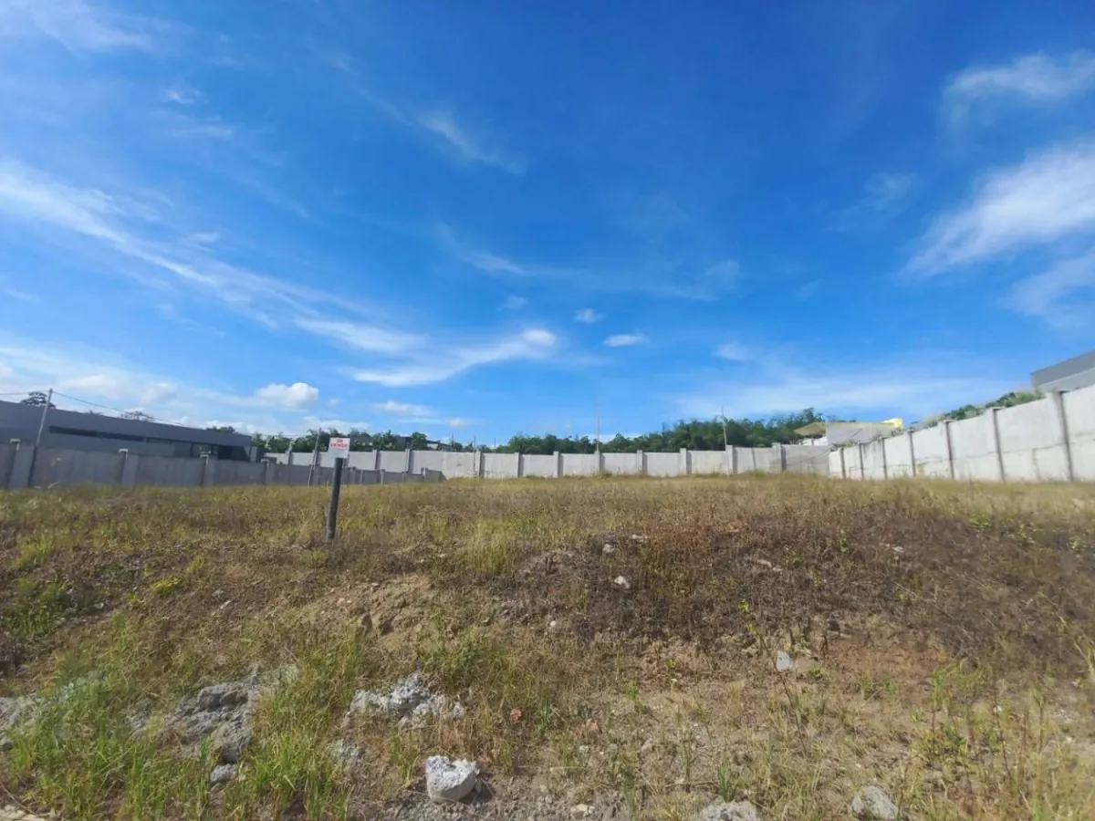 Lote en Venta en Cerritos, Pereira, 2435002,0 m² (foto 4) — CREBI
