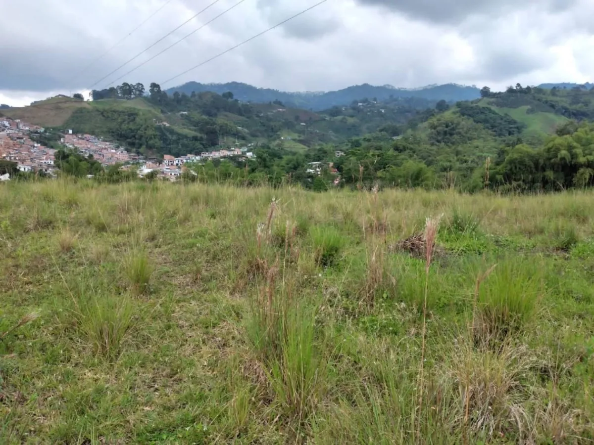 Lote en Venta en Solidaridad por Colombia, Dosquebradas, 30611,0 m² (foto 4) — CREBI