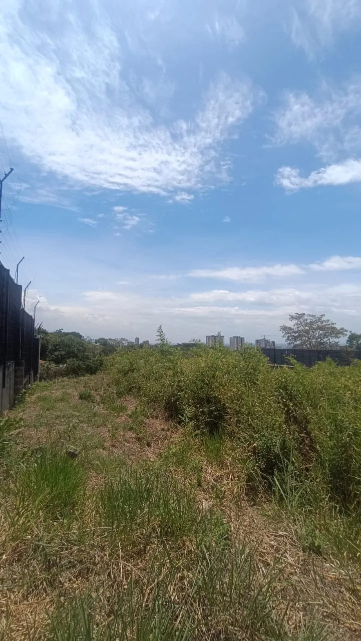 Lote en Venta en Parcelaciones Pance, La Buitrera, 1186,0 m² (foto 4) — CREBI