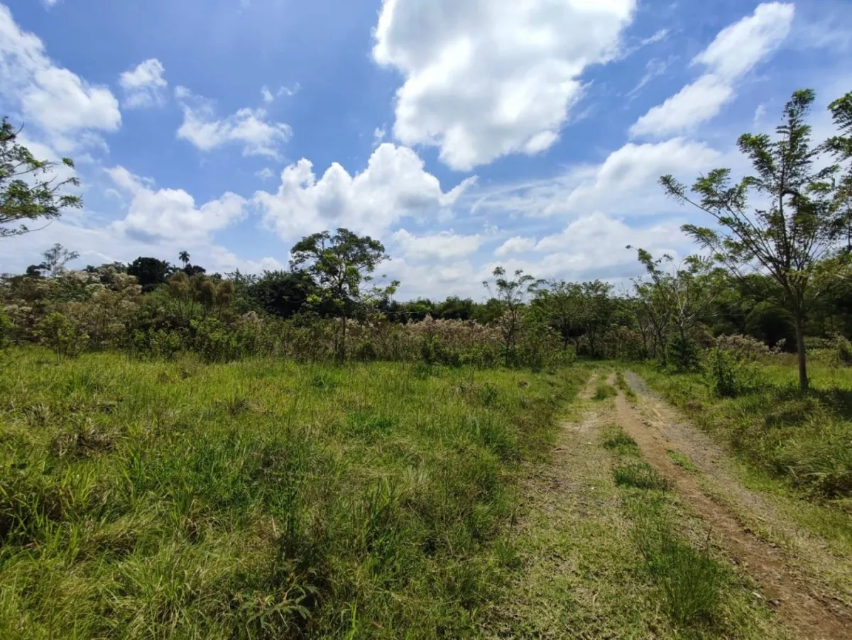 Lote en Venta en Cerritos, 47000,0 m² (foto 4) — CREBI