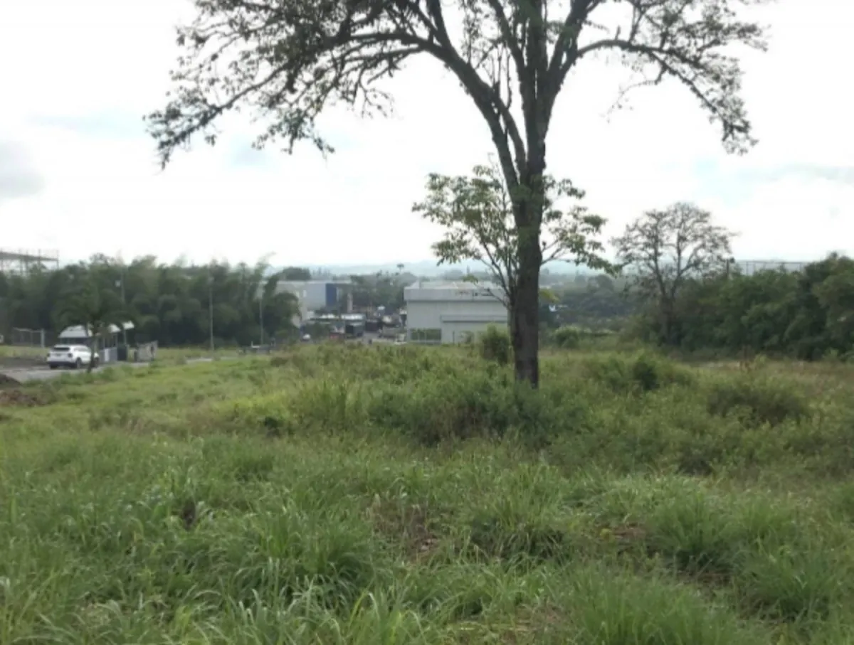 Lote en Venta en Caimalito, Pereira, 2000,0 m² (foto 4) — CREBI