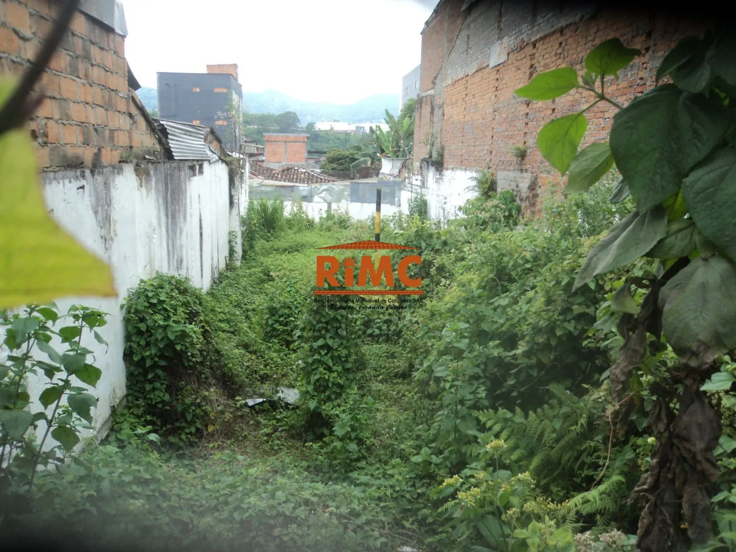 Lote en Venta en Sector Plaza de Bolivar, Pereira, 278,0 m² (foto 4) — CREBI