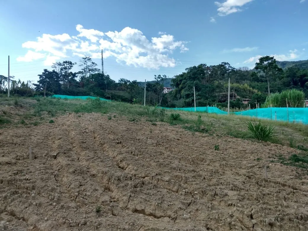 Lote en Venta en Dosquebradas, 54,0 m² (foto 4) — CREBI