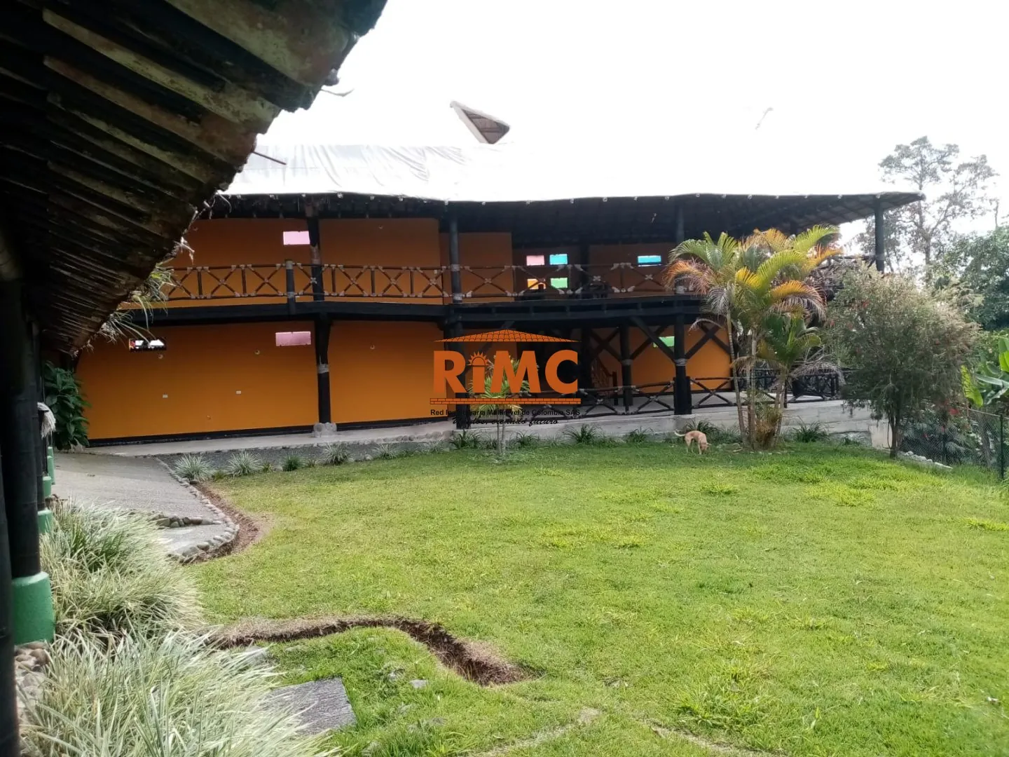Local en Arriendo en Tribunas Corcega, Pereira, 1000,0 m² (foto 4) — CREBI