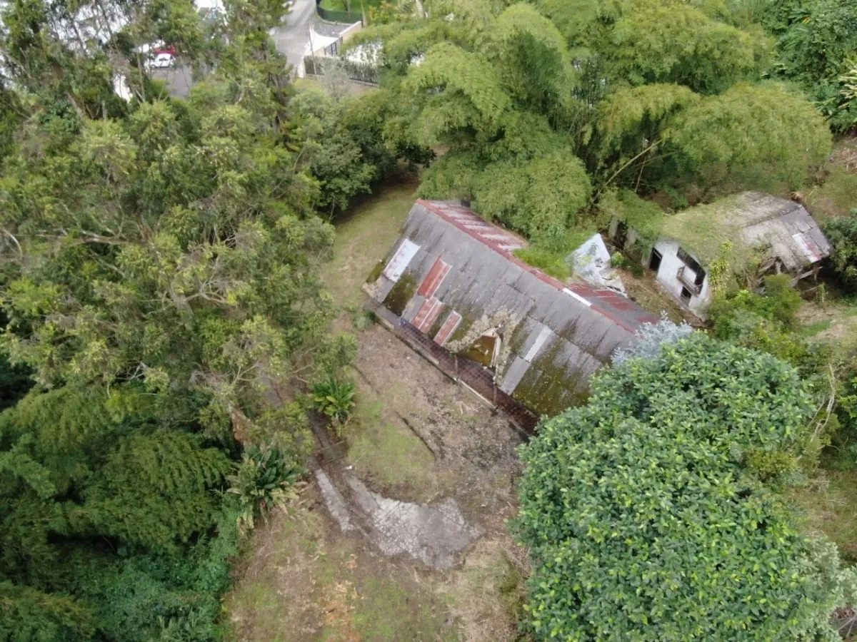 Lote en Venta en La Julita, Pereira, 3755,0 m² (foto 4) — CREBI