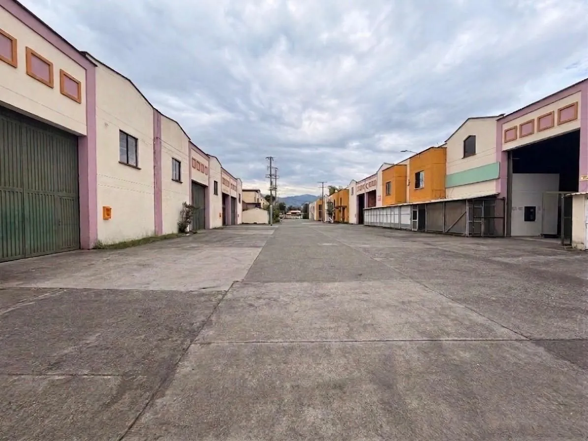 Bodega en Arriendo en La Playita, Dosquebradas, 300,0 m² (foto 5) — CREBI