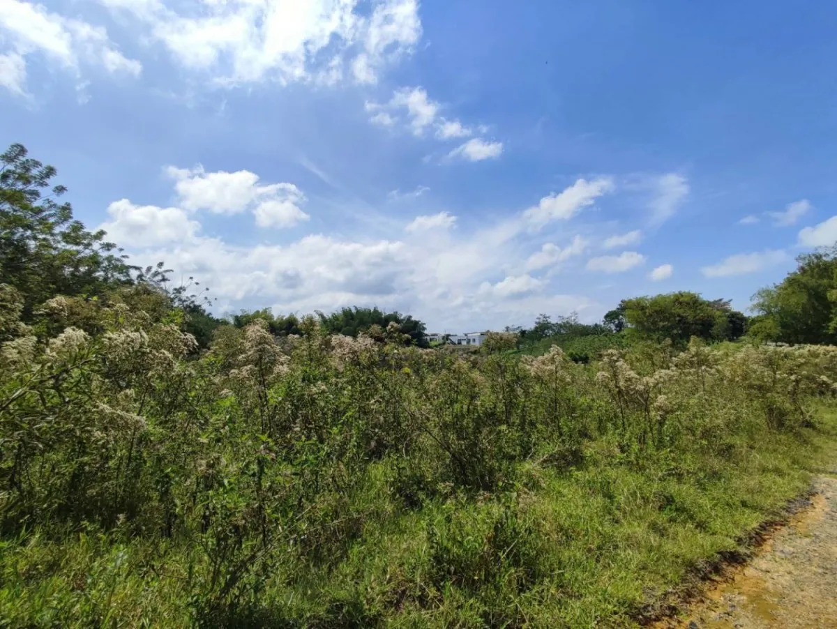 Lote en Venta en Cerritos, 47000,0 m² (foto 5) — CREBI