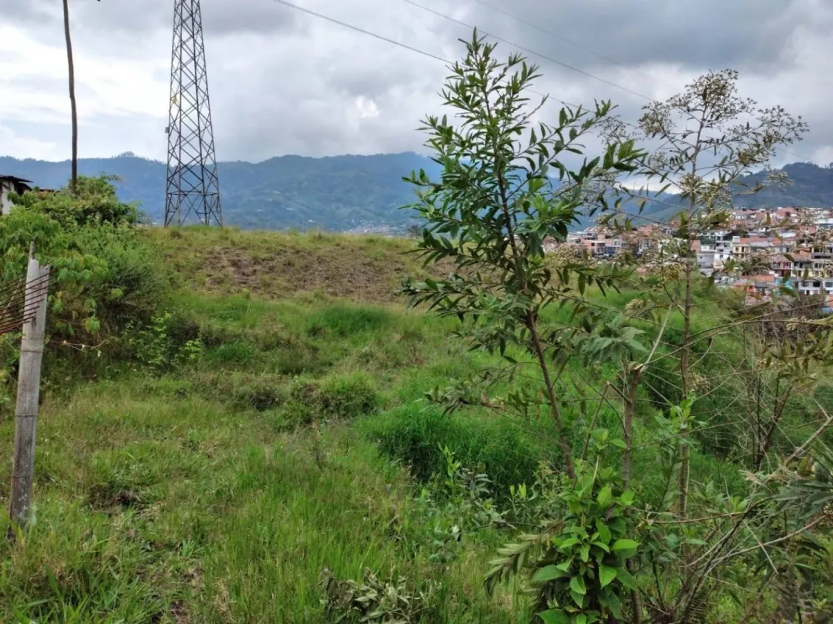 Lote en Venta en Solidaridad por Colombia, Dosquebradas, 30611,0 m² (foto 5) — CREBI