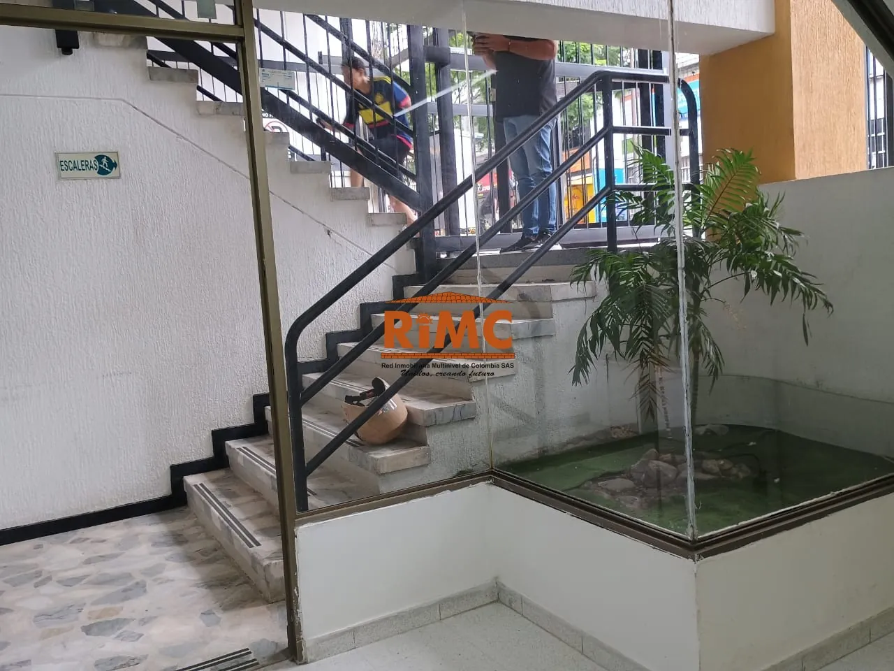 Local en Arriendo en Sector Plaza de Bolivar, Pereira, 33,0 m² (foto 5) — CREBI