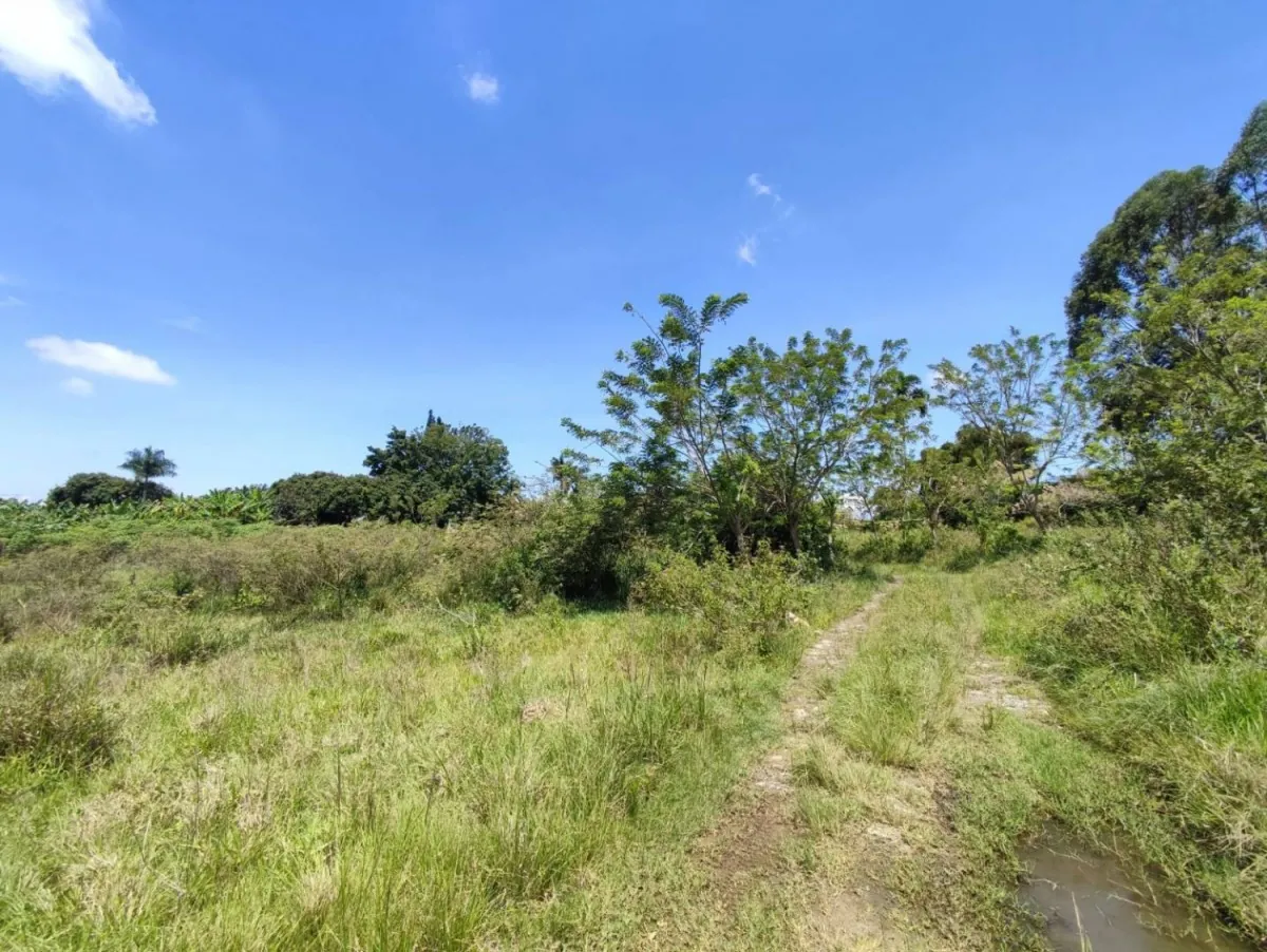 Lote en Venta en Cerritos, 47000,0 m² (foto 6) — CREBI
