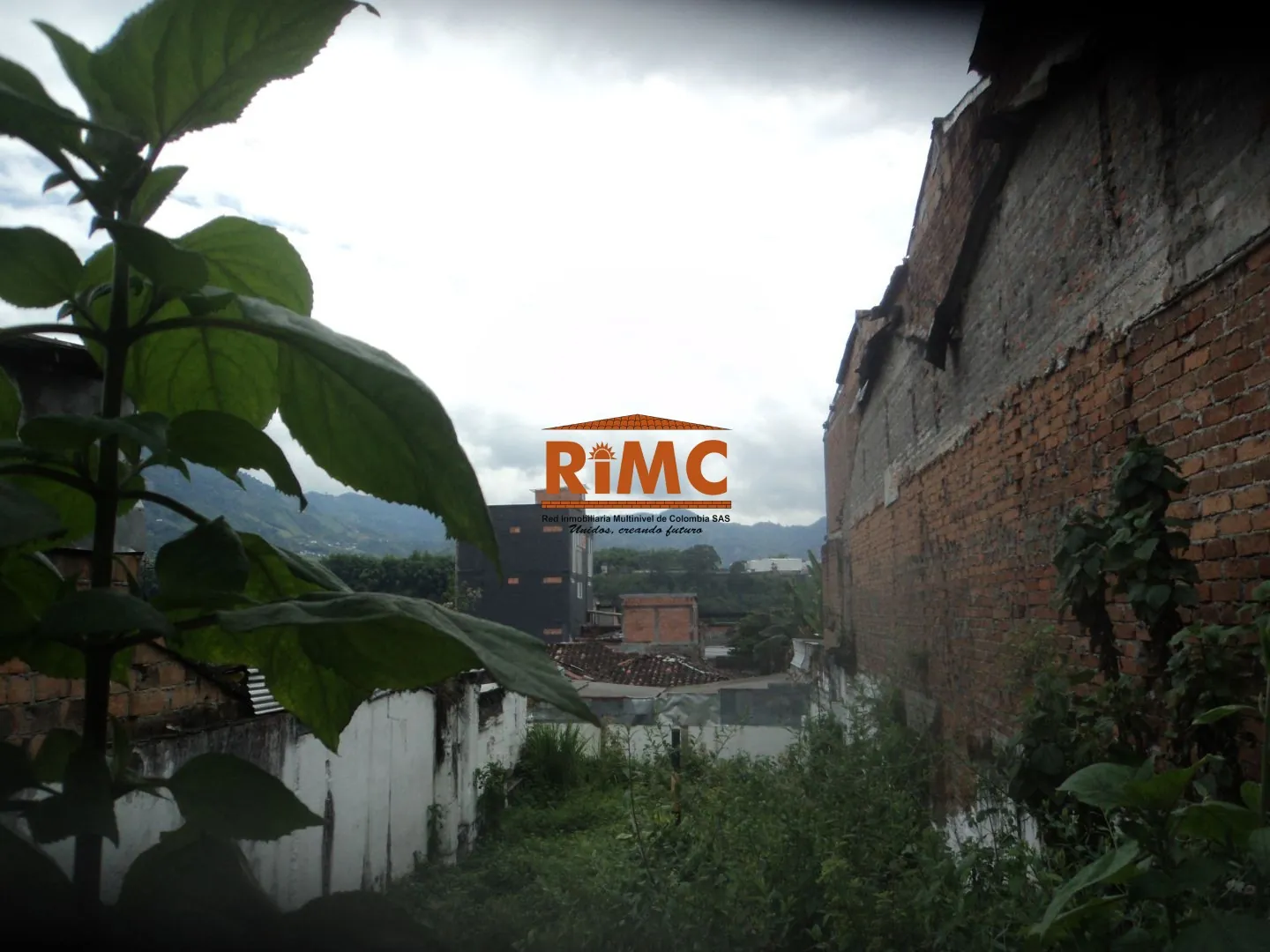 Lote en Venta en Sector Plaza de Bolivar, Pereira, 278,0 m² (foto 7) — CREBI