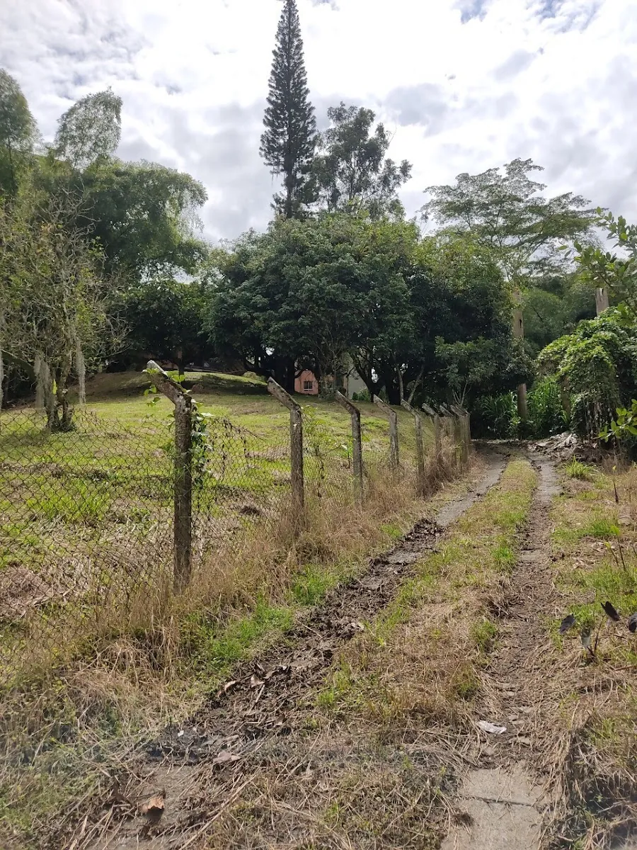 Lote en Venta en La Julita, Pereira, 3755,0 m² (foto 7) — CREBI