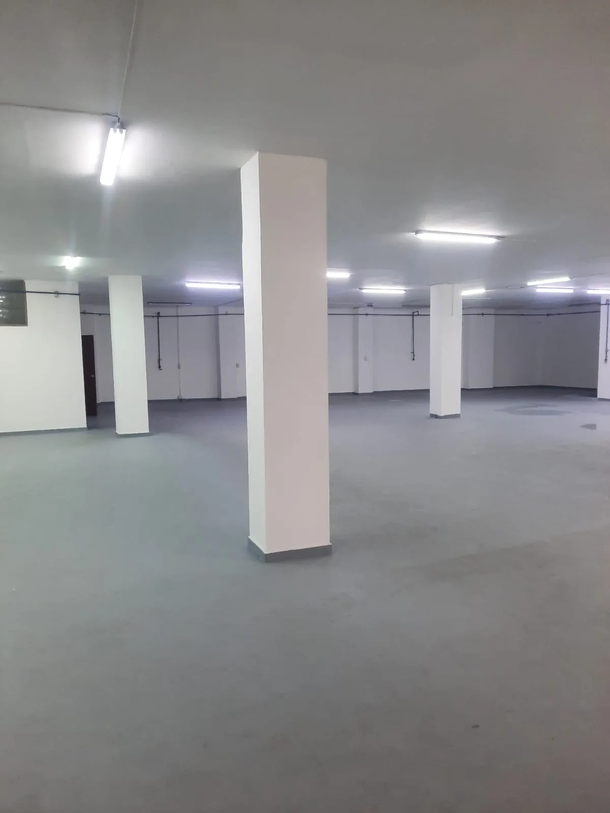 Local en Arriendo en Las Mangas, Pereira, 543,0 m² (foto 7) — CREBI