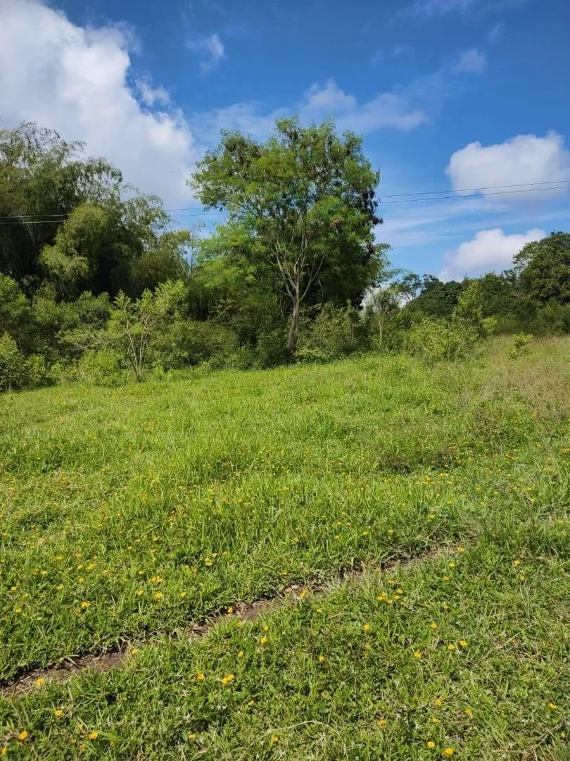 Lote en Venta en Cerritos, 47000,0 m² (foto 7) — CREBI