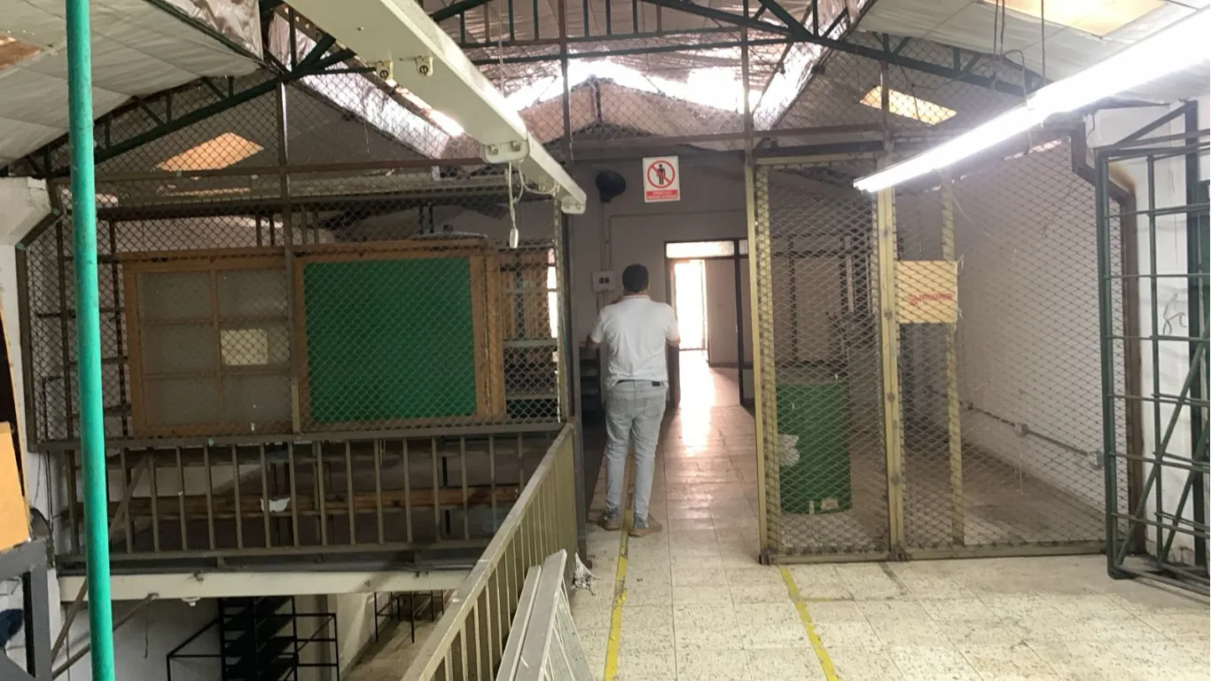 Bodega en Arriendo en Atanasio Girardot, Cali, 366,0 m² (foto 7) — CREBI