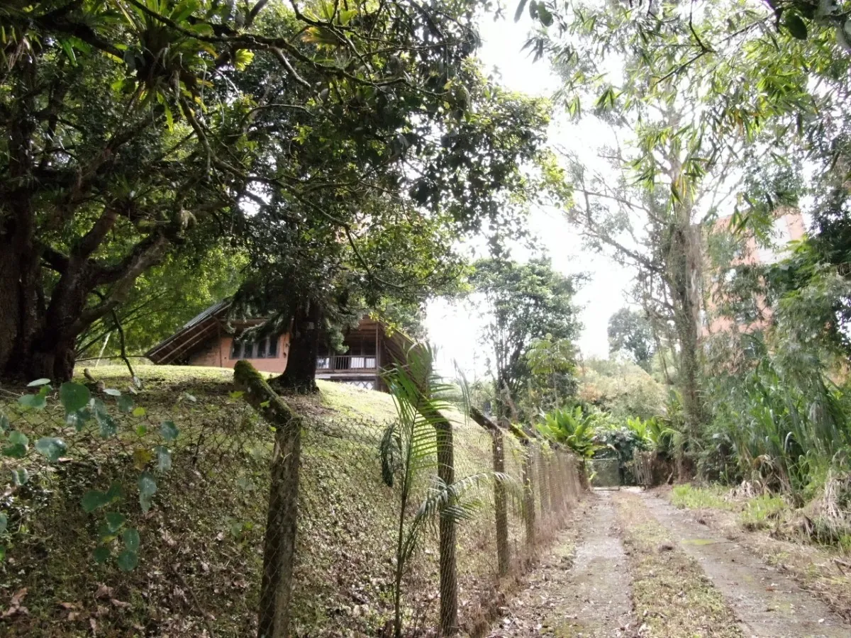 Lote en Venta en La Julita, Pereira, 3755,0 m² (foto 8) — CREBI