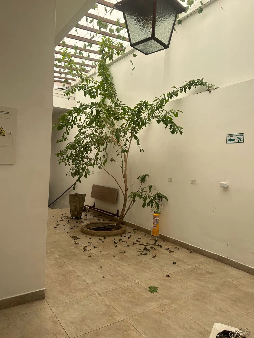 Multifamily en Venta en Granada, Cali, 206,0 m² (foto 8) — CREBI
