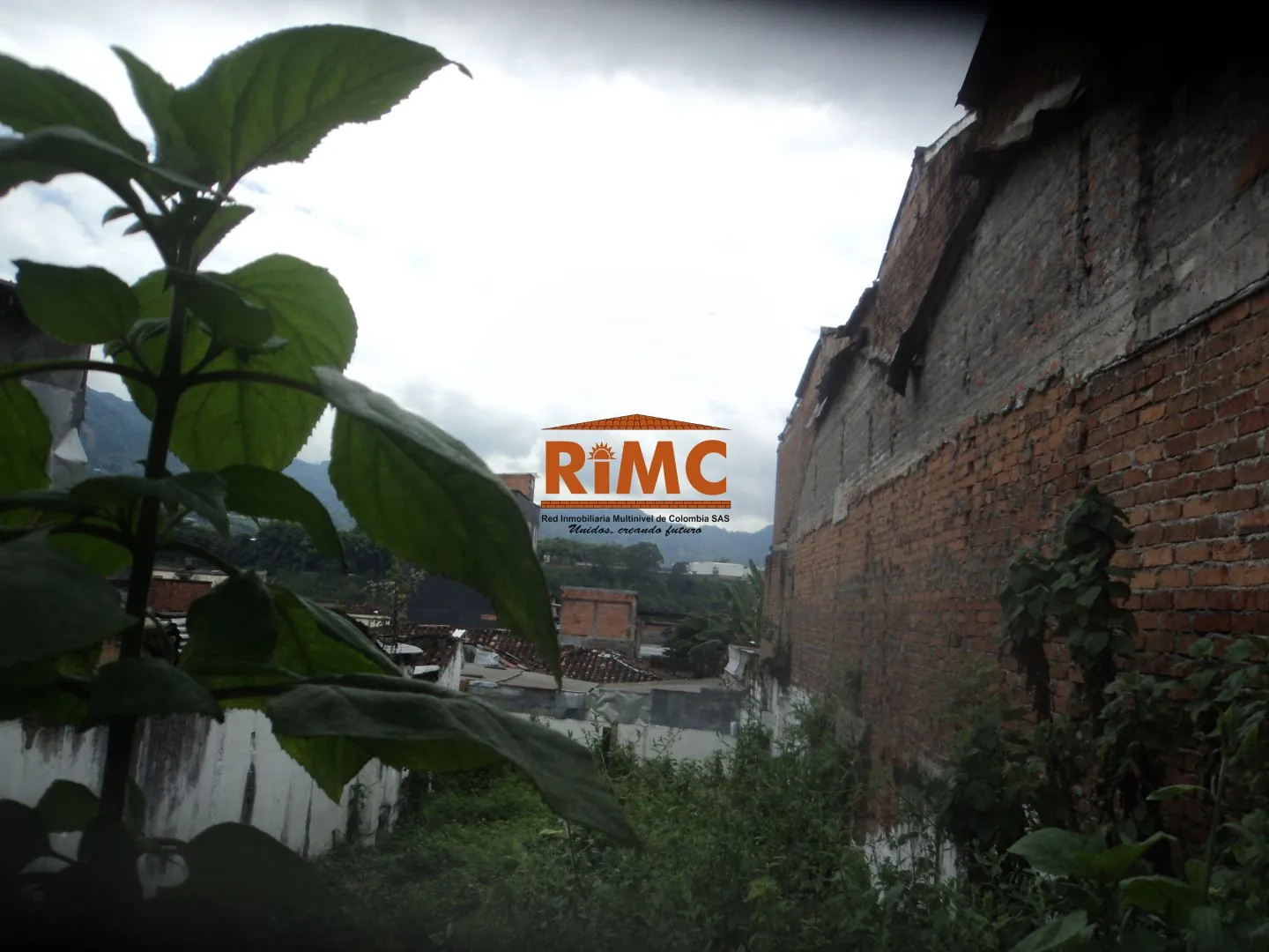 Lote en Venta en Sector Plaza de Bolivar, Pereira, 278,0 m² (foto 8) — CREBI