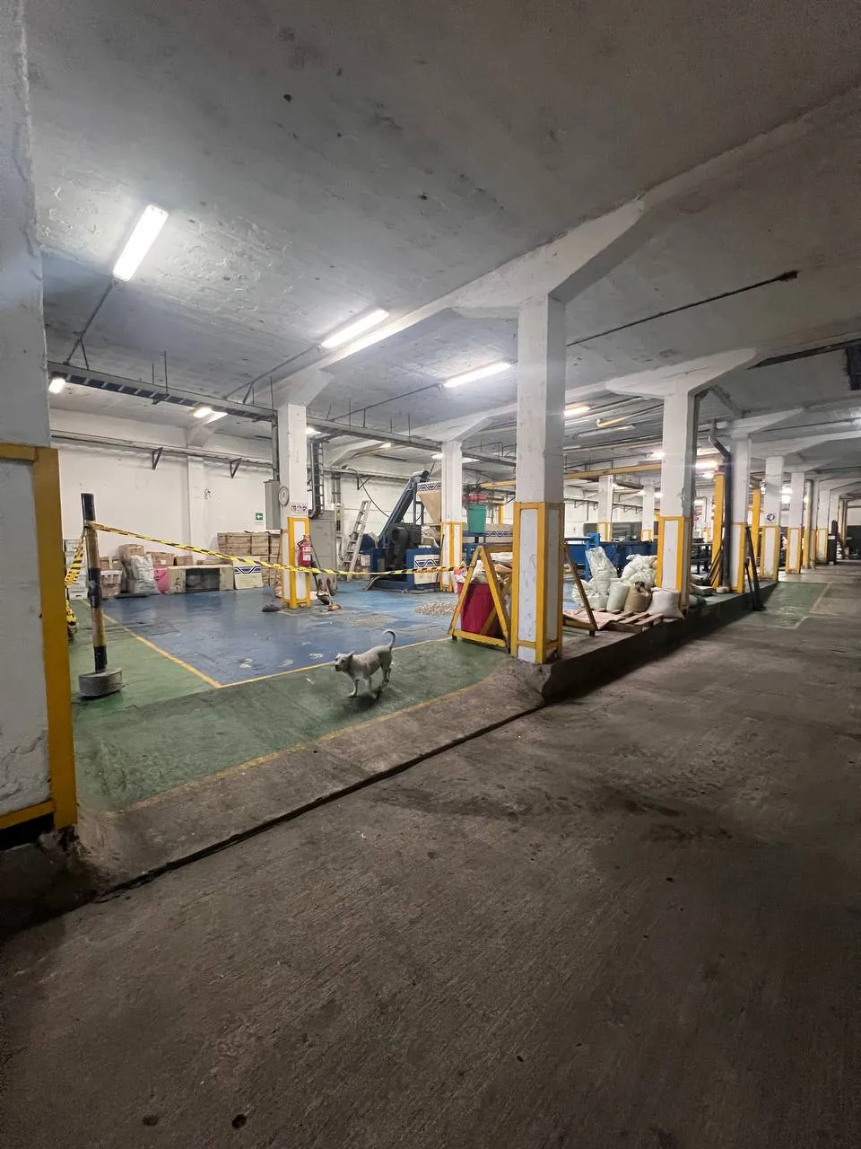 Bodega en Venta en San Nicolás, Cali, 2312,0 m² (foto 8) — CREBI