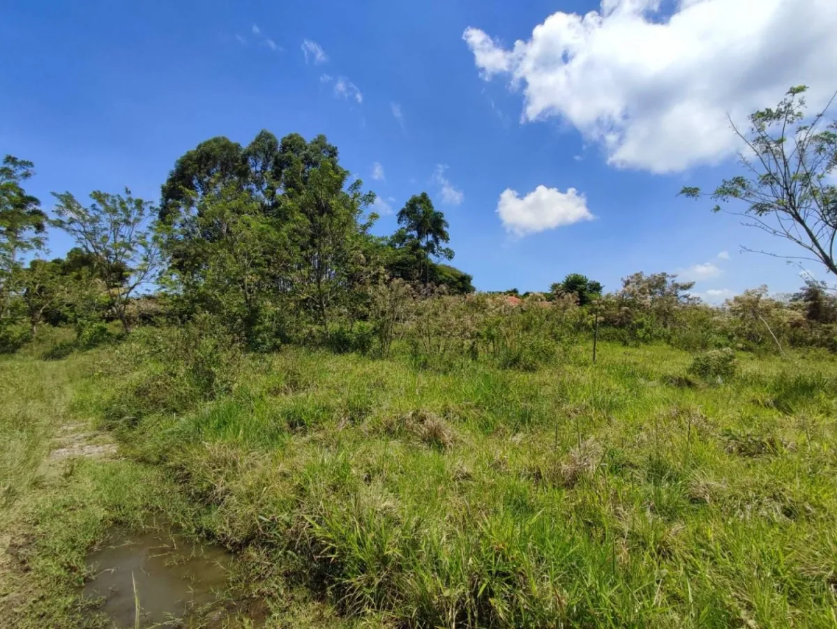 Lote en Venta en Cerritos, 47000,0 m² (foto 8) — CREBI