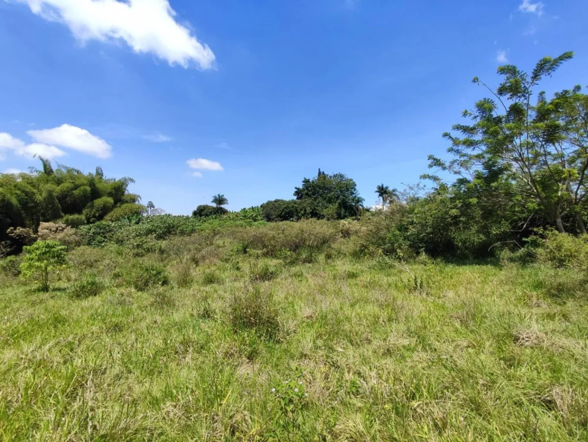 Lote en Venta en Cerritos, 47000,0 m² (foto 9) — CREBI