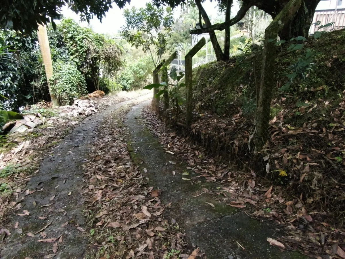 Lote en Venta en La Julita, Pereira, 3755,0 m² (foto 9) — CREBI