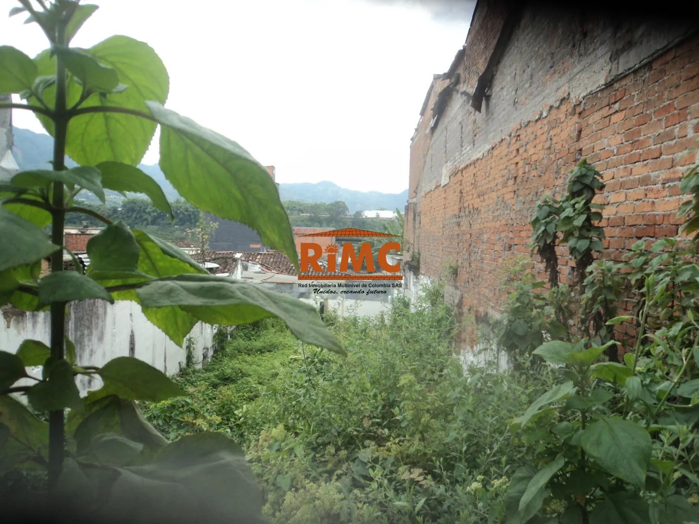 Lote en Venta en Sector Plaza de Bolivar, Pereira, 278,0 m² (foto 9) — CREBI