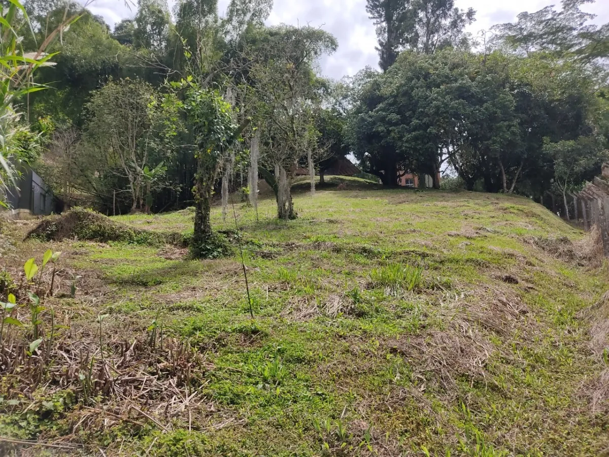 Lote en Venta en La Julita, Pereira, 3755,0 m² (foto 10) — CREBI