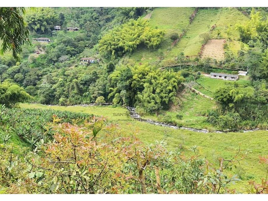 Lote en Venta - Santa Rosa de Cabal, Risaralda, 45218,0 m² (foto 4) — CREBI