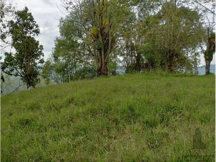Hotel en Venta - A Cedralito, 500,0 m² (foto 5) — CREBI